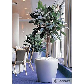 プレイモービル社 水やりは最長12週間不要 プランター レチューザ クラシコ60 灌水セット付き Le 1060 Le 1060 環境生活 Yahoo 店 通販 Yahoo ショッピング