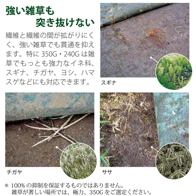 ザバーン 防草シート 240グリーン 2m×30m グリーンフィールド 除草