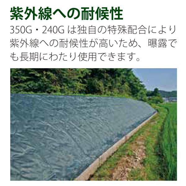 ザバーン 防草シート 350グリーン 2m×30m グリーンフィールド 除草 
