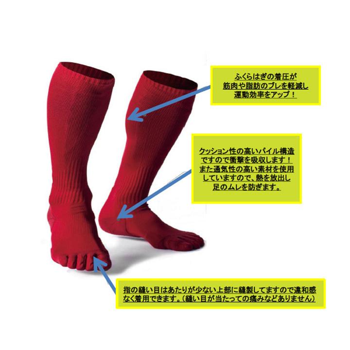 フットラーク（Foot Raku） 【在庫有り！即納商品】フットラーク 5本