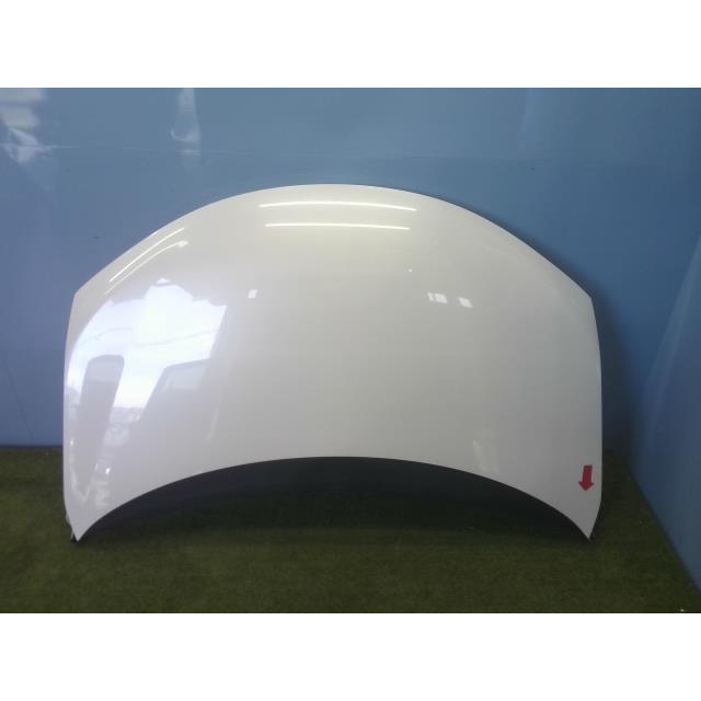 オデッセイ RC1 ボンネット フードパネル パールホワイト オデッセイ DBA-RC1 ボンネットフード アブソルート EX 7人 NH788P