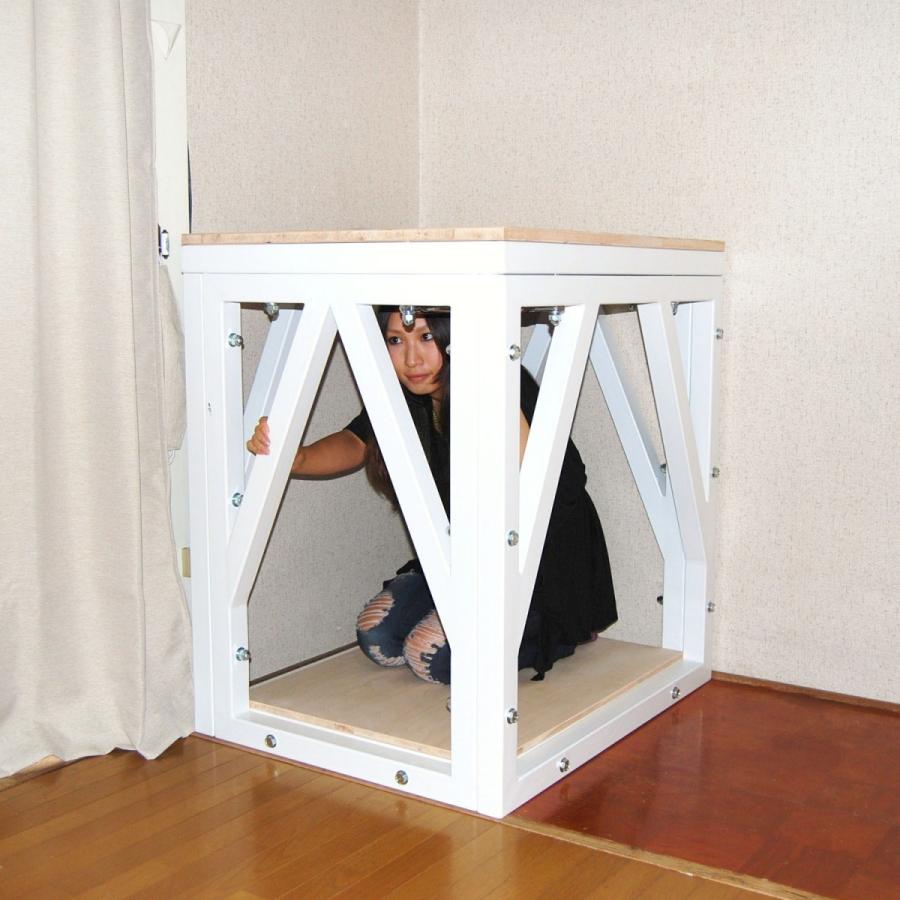 地震対策用　エコルート「耐震シェルター」　タイプ3　一人用タイプ  耐荷重75トン