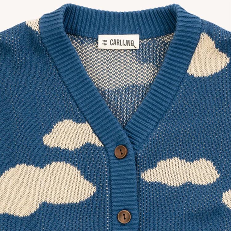 新品CARLACARINI カーラカリーニニット