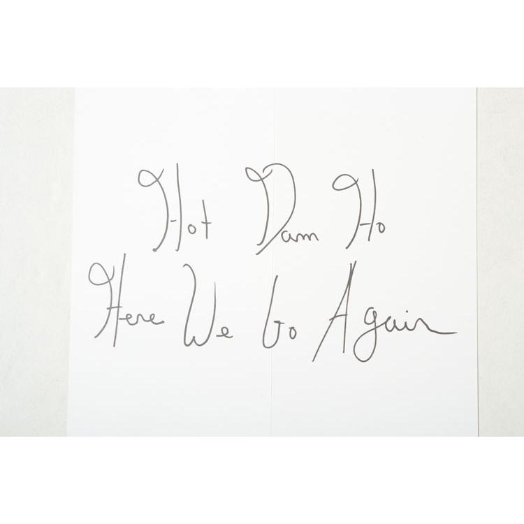 Supreme（シュプリーム） Supreme Lil Kim Sticker リル キム