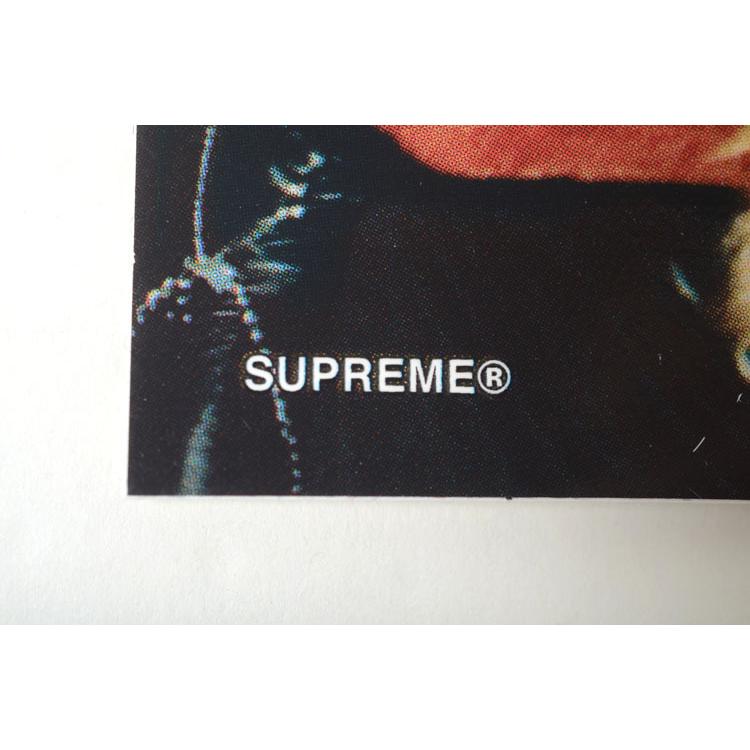 Supreme（シュプリーム） Supreme Slayer Altar Sticker スレイヤー