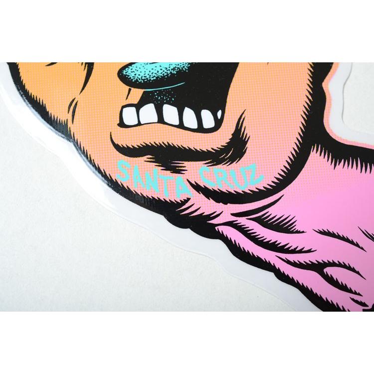 SANTA CRUZ（サンタクルーズ） 中 サイズSANTACRUZ STICKER