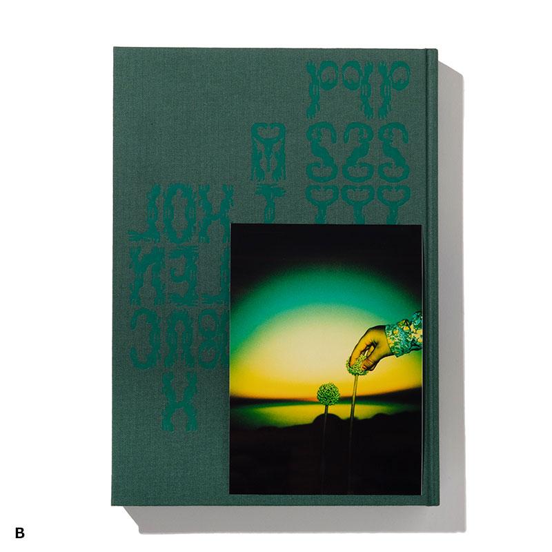 Perks And Mini パークスアンドミニ ミーシャ・ホーレンバック写真集