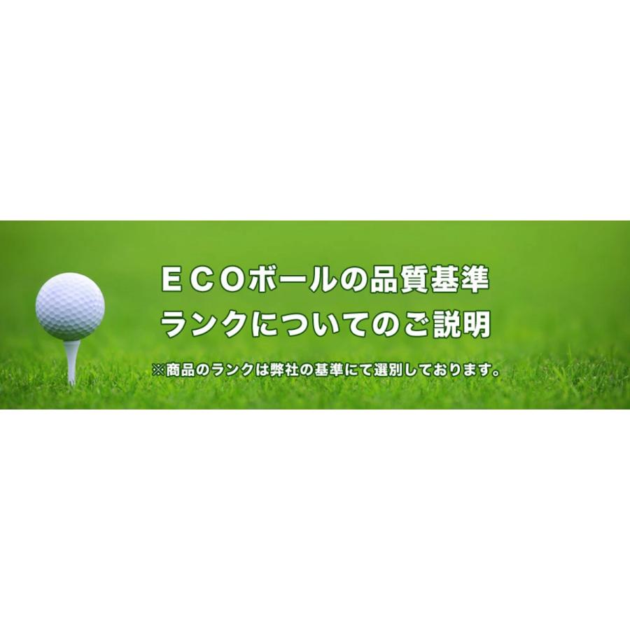 KIRA ロストボール キャスコ 各種混合 20球 A+ABランクマーカー入り