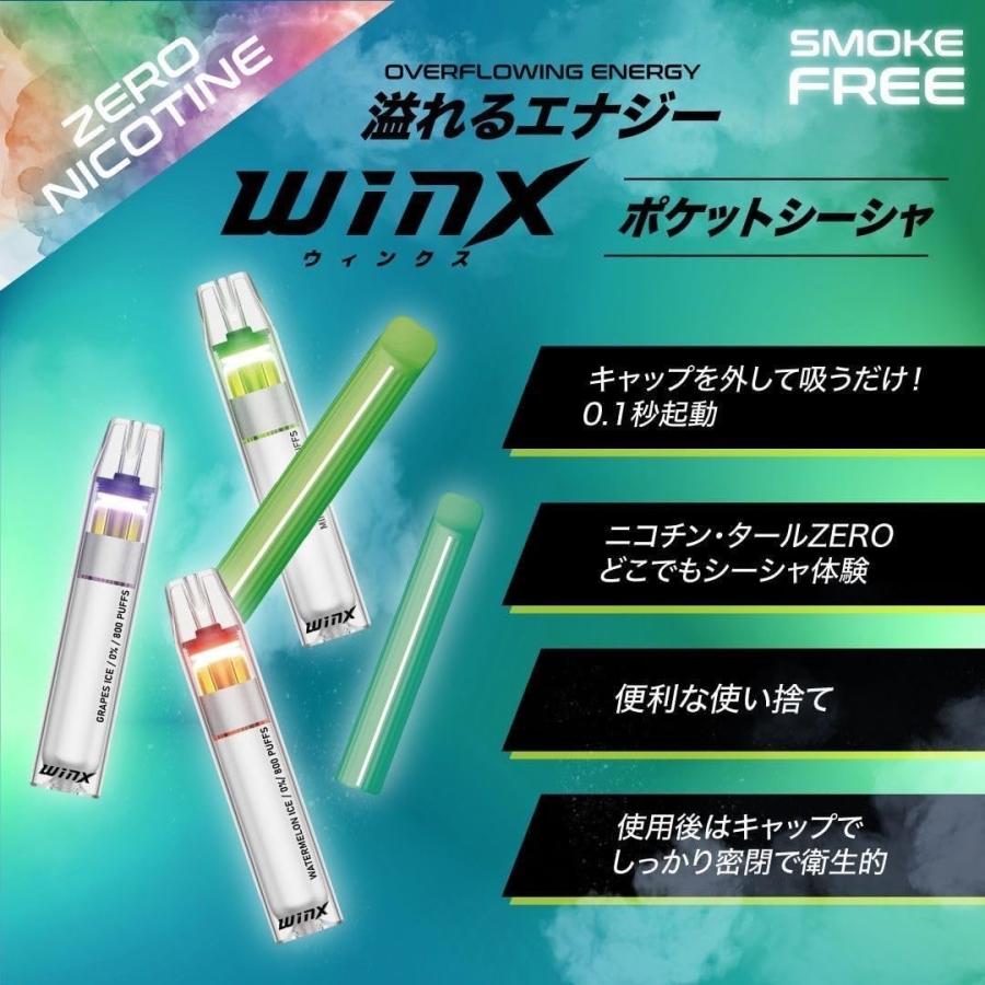 ポケットシーシャ winx S161カジュアル【全6種×各1本＝1箱】専用BOX