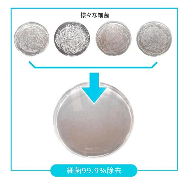 【2個セット】水だけで1年間除菌！次亜塩素酸水発生器　トイレ　除菌　消臭　OSHIROI(おしろい）　汚れ防止　掃除楽々 エコデバイス |  | 11