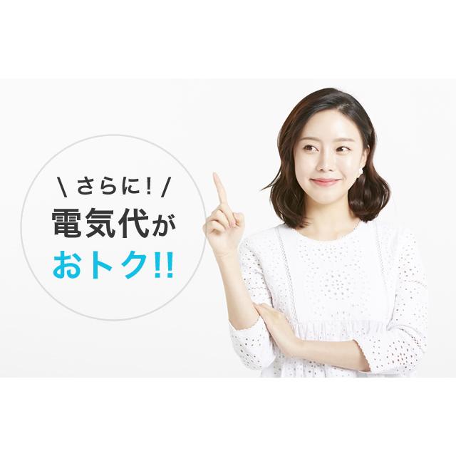 【2個セット】水だけで1年間除菌！次亜塩素酸水発生器　トイレ　除菌　消臭　OSHIROI(おしろい）　汚れ防止　掃除楽々 エコデバイス |  | 14