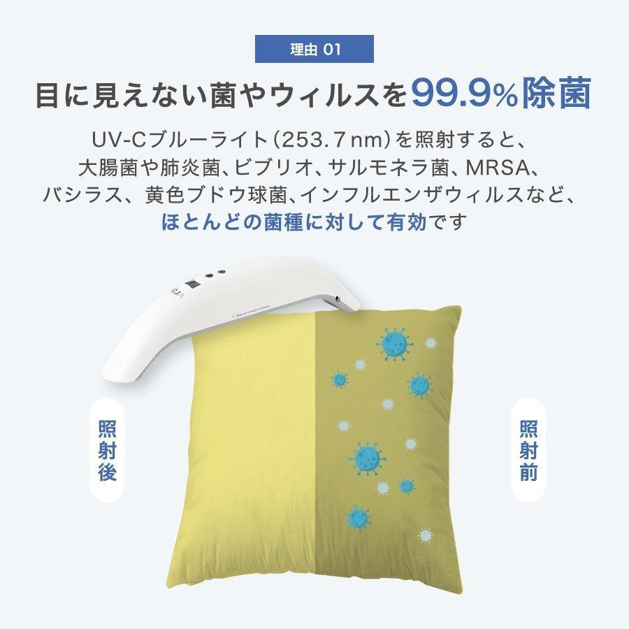 Vray 家庭用UV-C ブルーライト殺菌器 エコデバイス Vray UV-Cブルーライト除菌器 VR-03-KKY 1個