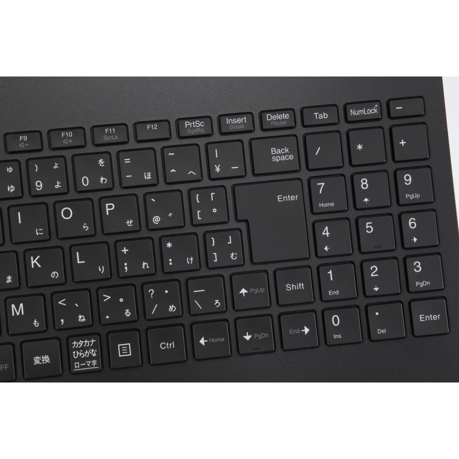 美品] NEC LAVIE Direct N15 PC-GN12NBEAS [バッテリー駆動不可｜AMD