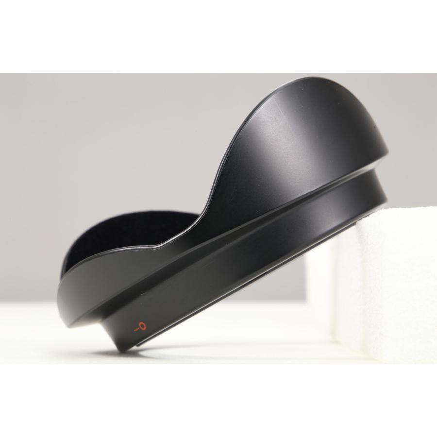 Canon EF-S 10-22mm USM, フィルタとフード付き