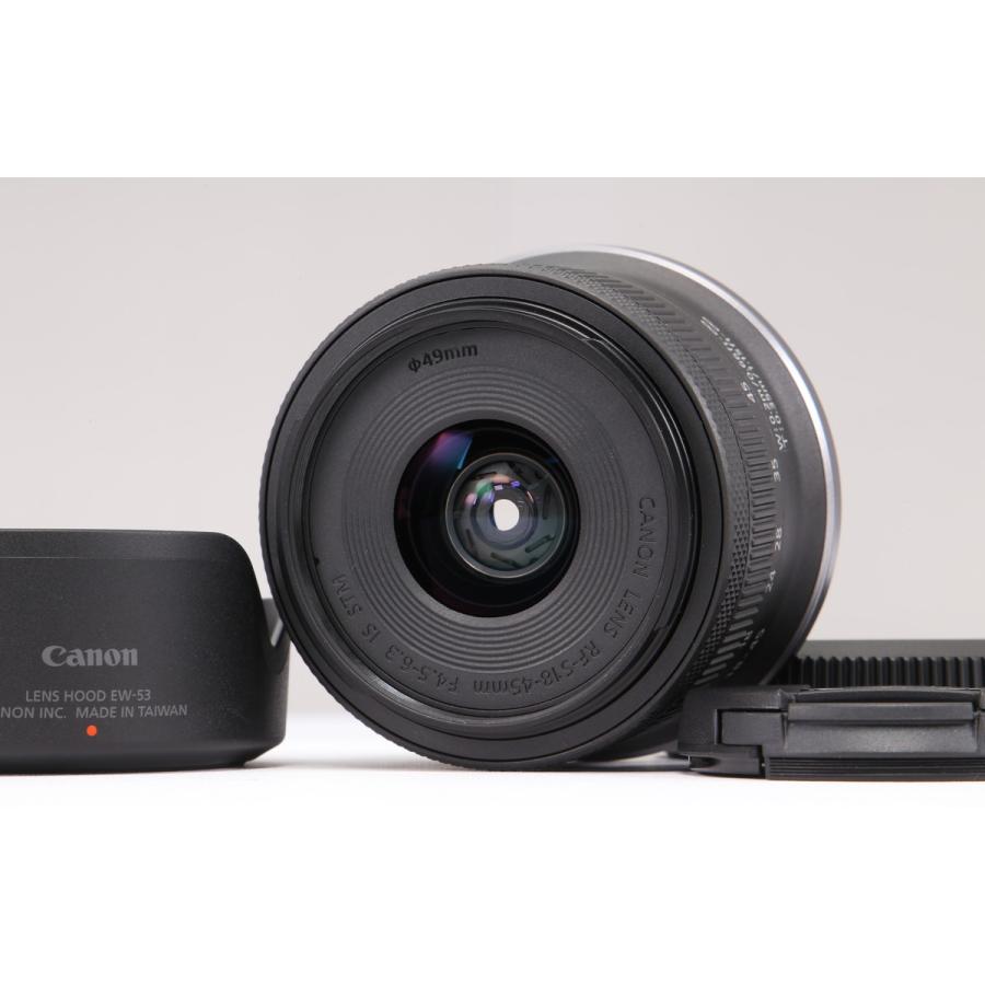 ショット数1000枚以下！CANON  EOS R10 レンズキット 新品同様｜シャッター数 1000回以下] Canon EOS R10 RF-S18-45 IS STM