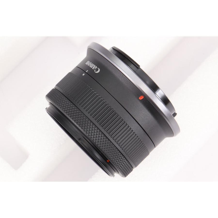 新品同様｜シャッター数 1000回以下] Canon EOS R10 RF-S18-45 IS STM