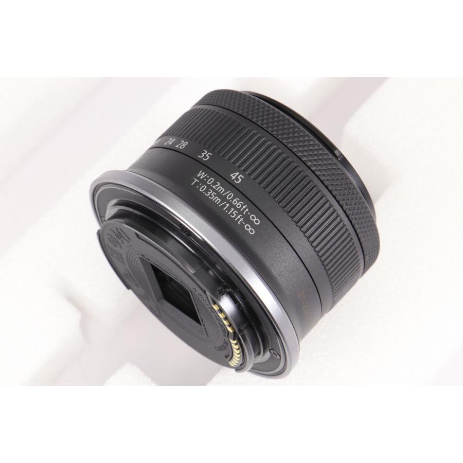 新品同様｜シャッター数 1000回以下] Canon EOS R10 RF-S18-45 IS STM