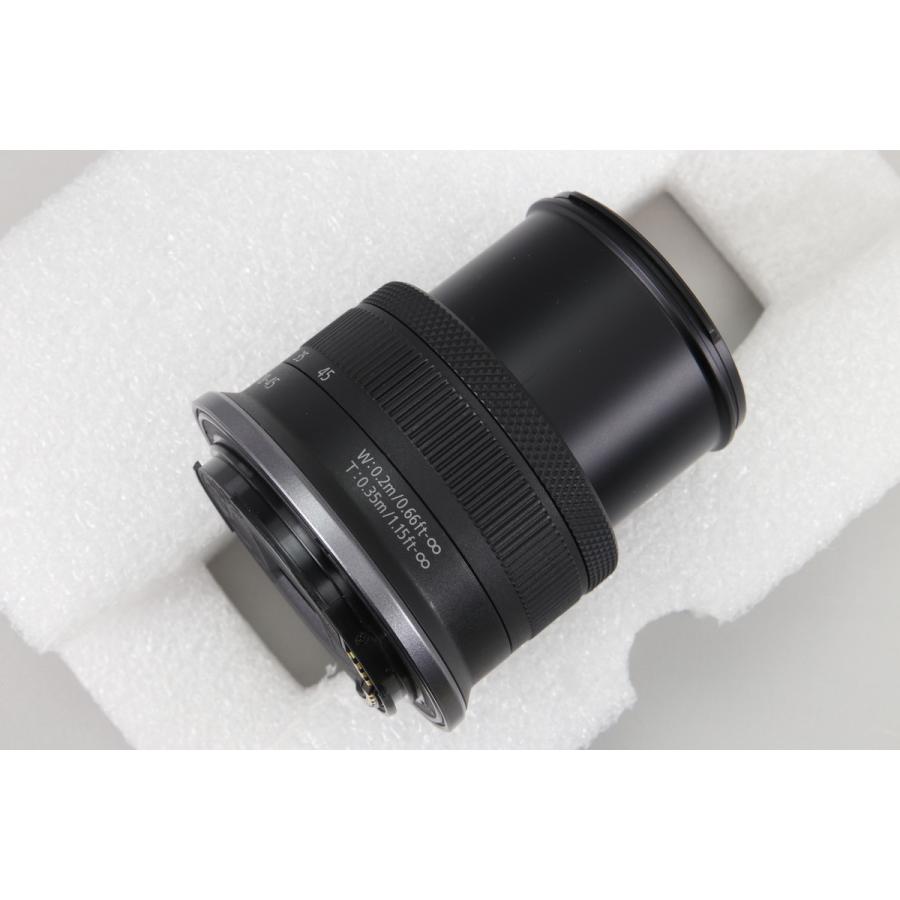 [極美品｜メーカー保証 残あり] Canon EOS R100 RF-S18-45 IS STM レンズキット [シャッター数 2000回以下]の画像