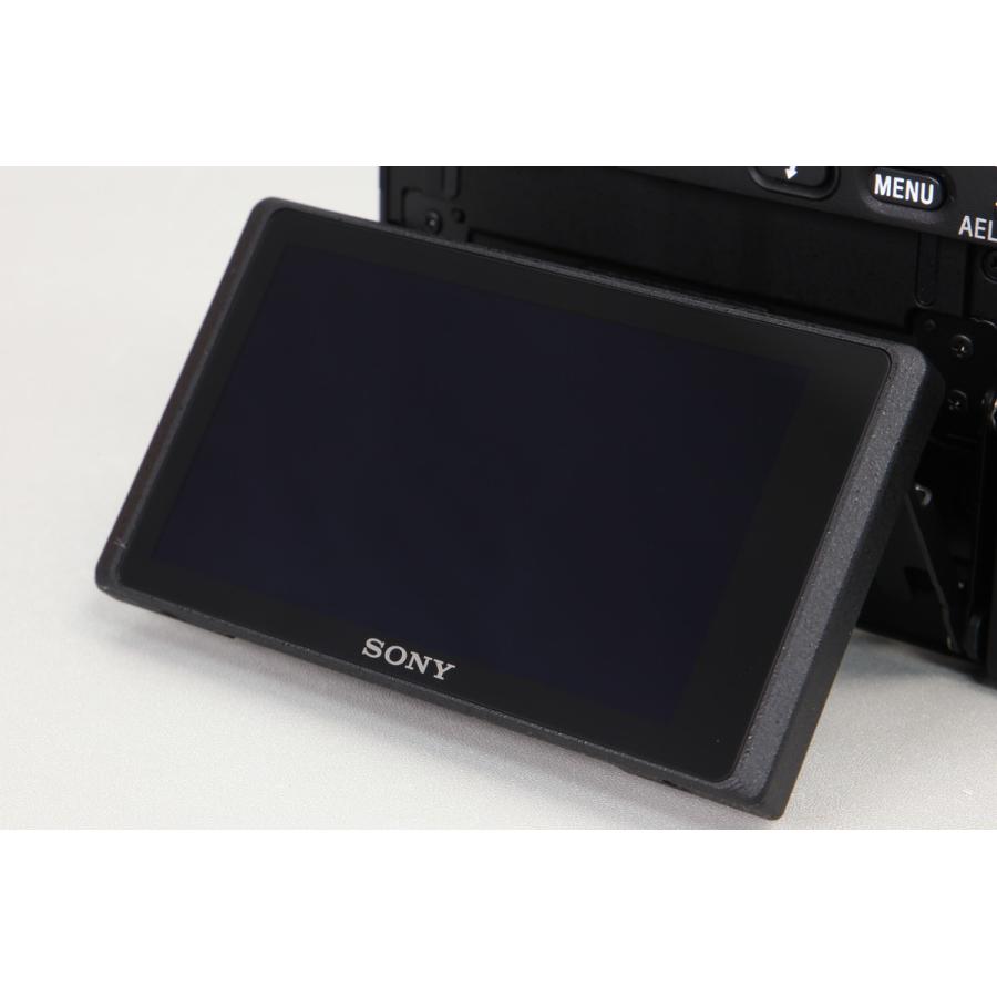 新品同様｜シャッター数 16回] SONY α6400 ダブルズームレンズキット