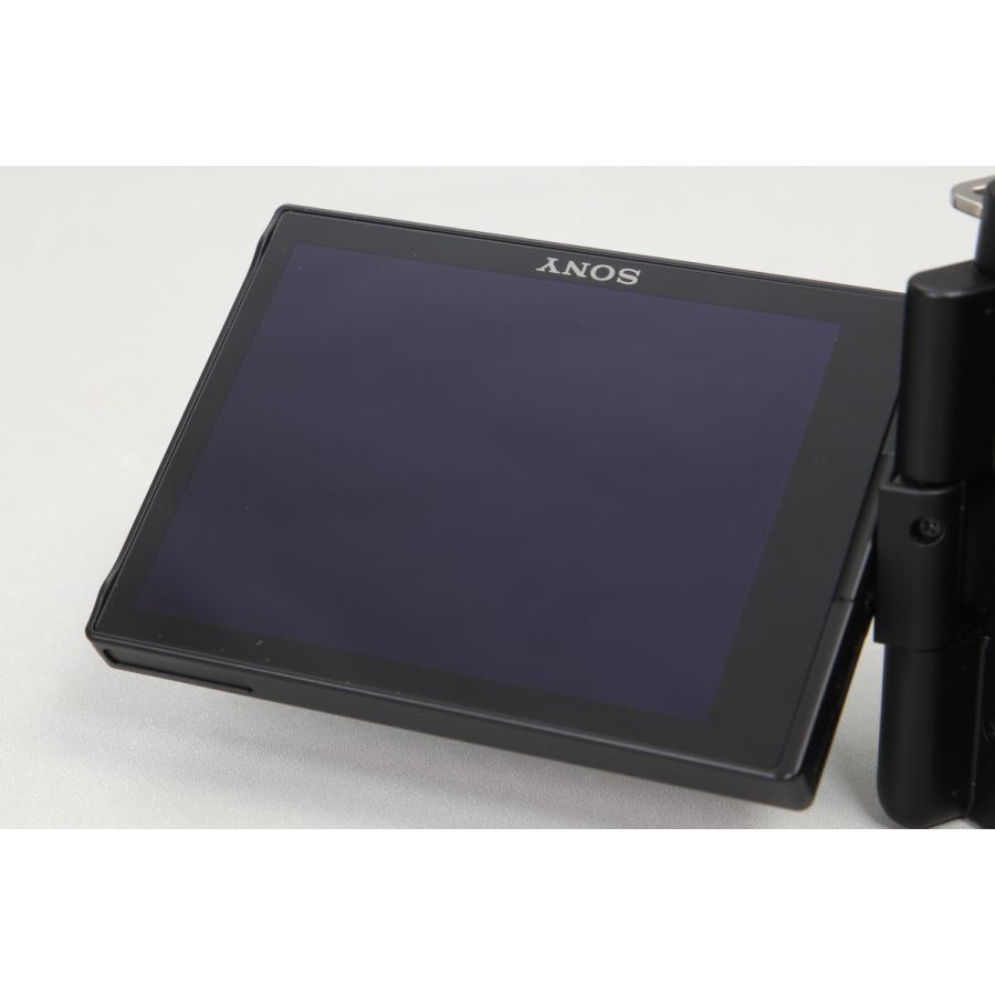 [極美品｜シャッター数 210回] SONY VLOGCAM ZV-E10 パワーズームレンズキット ZV-E10L ブラック [カメラケース 追加付属]の画像