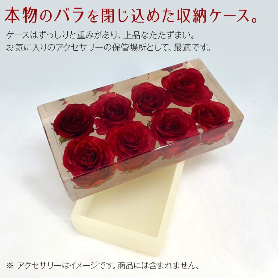 DXI Living アクセサリーケース ジュエリーボックス (バラ DXI Living アクセサリーケース ジュエリーボックス (バラ