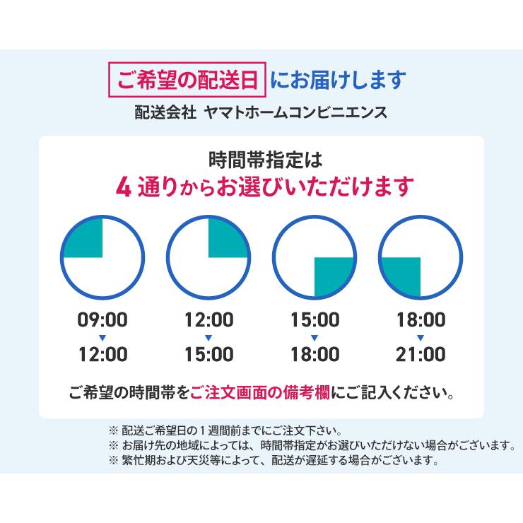 Panasonic（パナソニック） 中古家電セット 一人暮らし 冷蔵庫 洗濯機