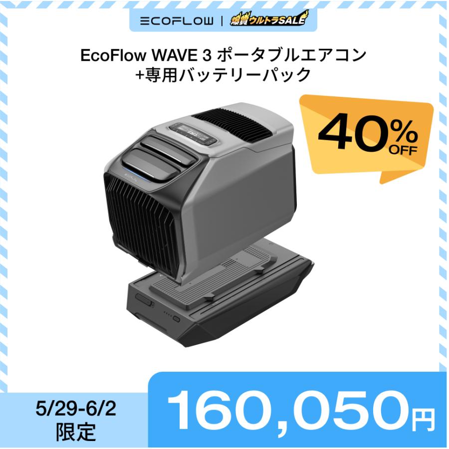 ECOFLOW 【6/2 2時まで クーポンで158,550円】夏＆冬両用 ポータブル