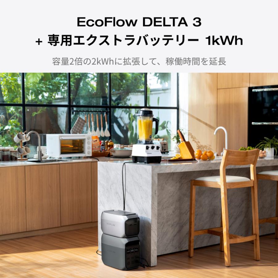 ECOFLOW エコフロー ポータブル電源 3 リバー3 車中泊 ECOFLOW ポータブル電源 セット リン酸鉄 EcoFlow DELTA 3