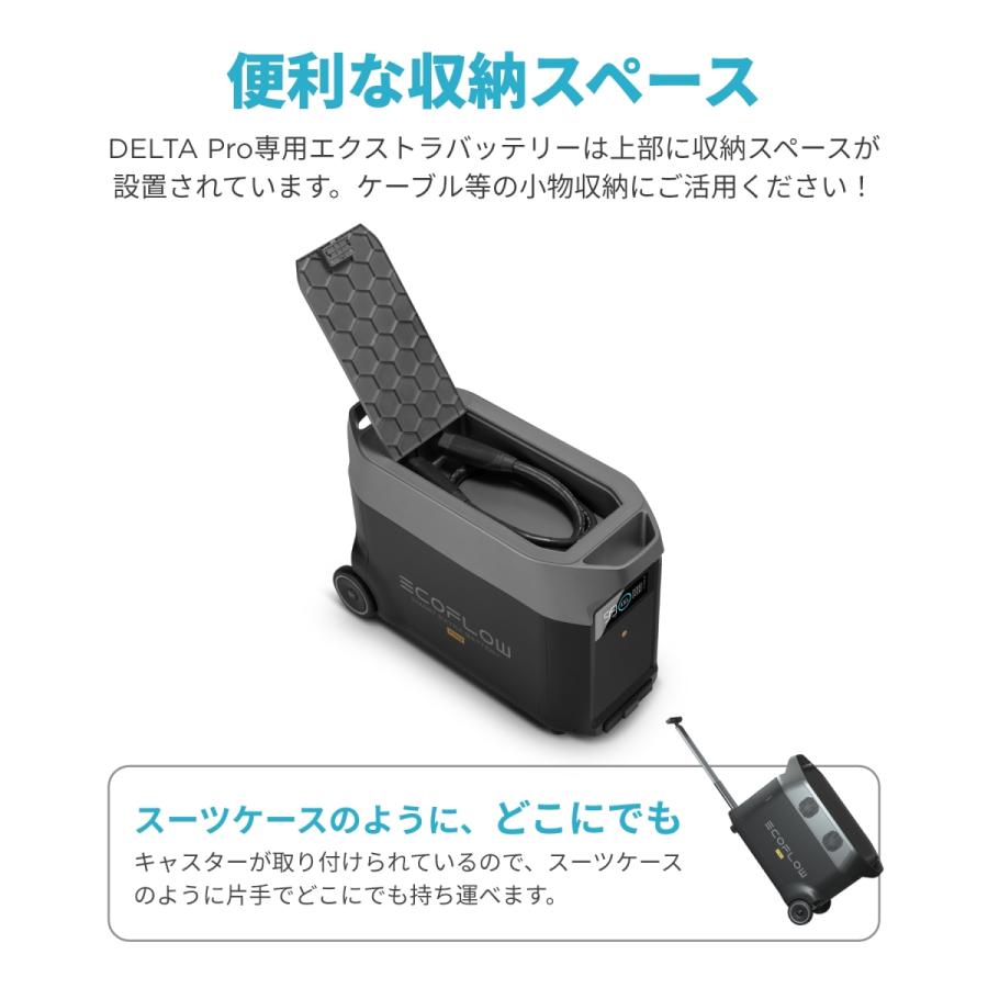 ECOFLOW EcoFlow ポータブル電源 大容量 DELTA Pro 専用 ECOFLOW EcoFlow ポータブル電源 大容量 DELTA Pro 専用
