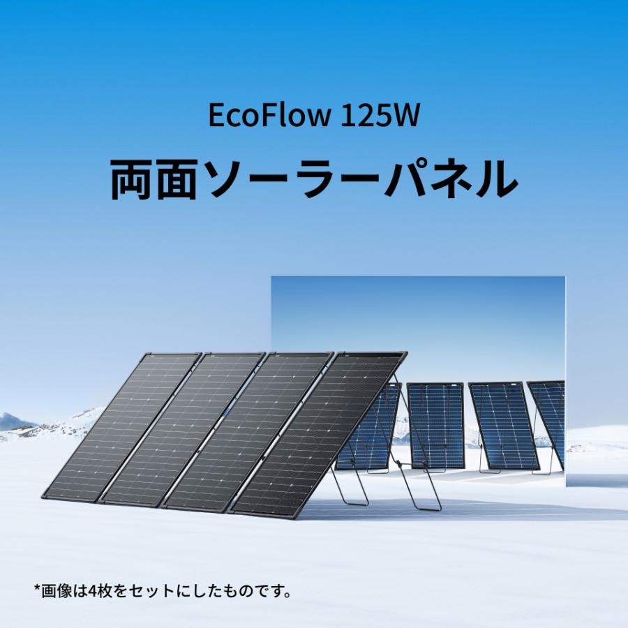 2枚セット　新品未開封　EcoFlow 125W 両面　ソーラーパネル ECOFLOW EcoFlow 125W 2枚 両面ソーラーパネル IP68 防水防塵