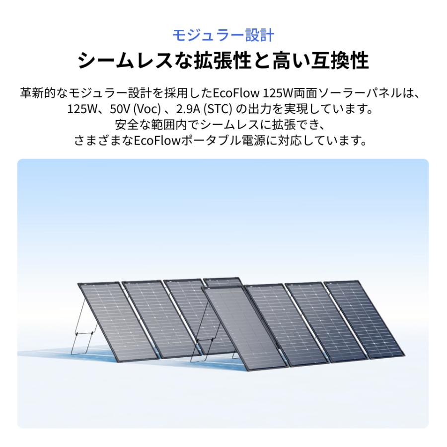 ECOFLOW EcoFlow 125W 2枚 両面ソーラーパネル IP68 防水防塵