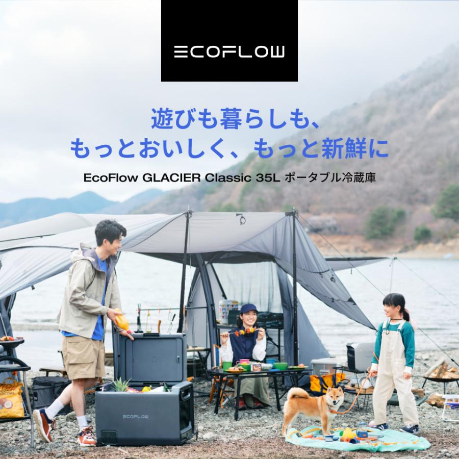 ECOFLOW ポータブル電源 ポータブルエアコンセット リン酸鉄