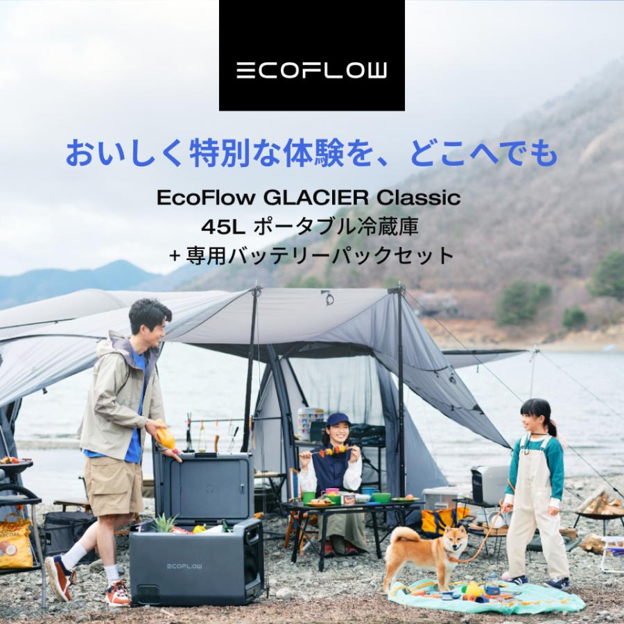 ECOFLOW ポータブル冷蔵庫 EcoFlow GLACIER 45L+専用バッテリー