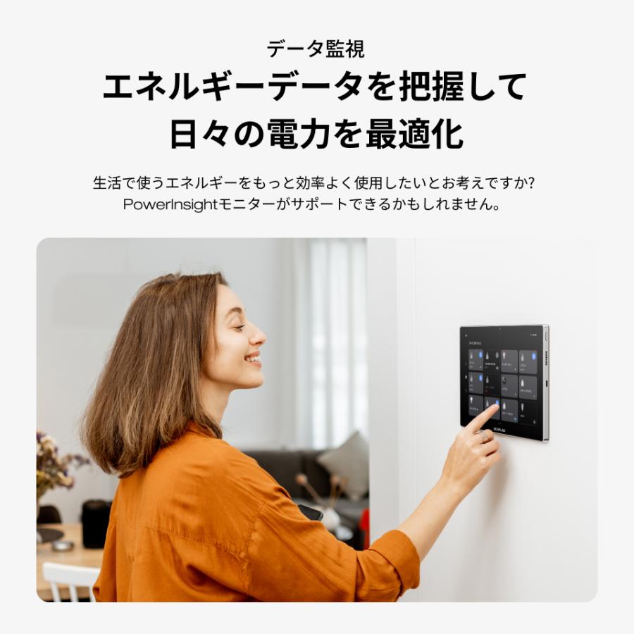 EcoFlow PowerInsight エネルギー監視制御モニター ECOFLOW EcoFlow PowerInsight エネルギー監視制御モニター 液晶