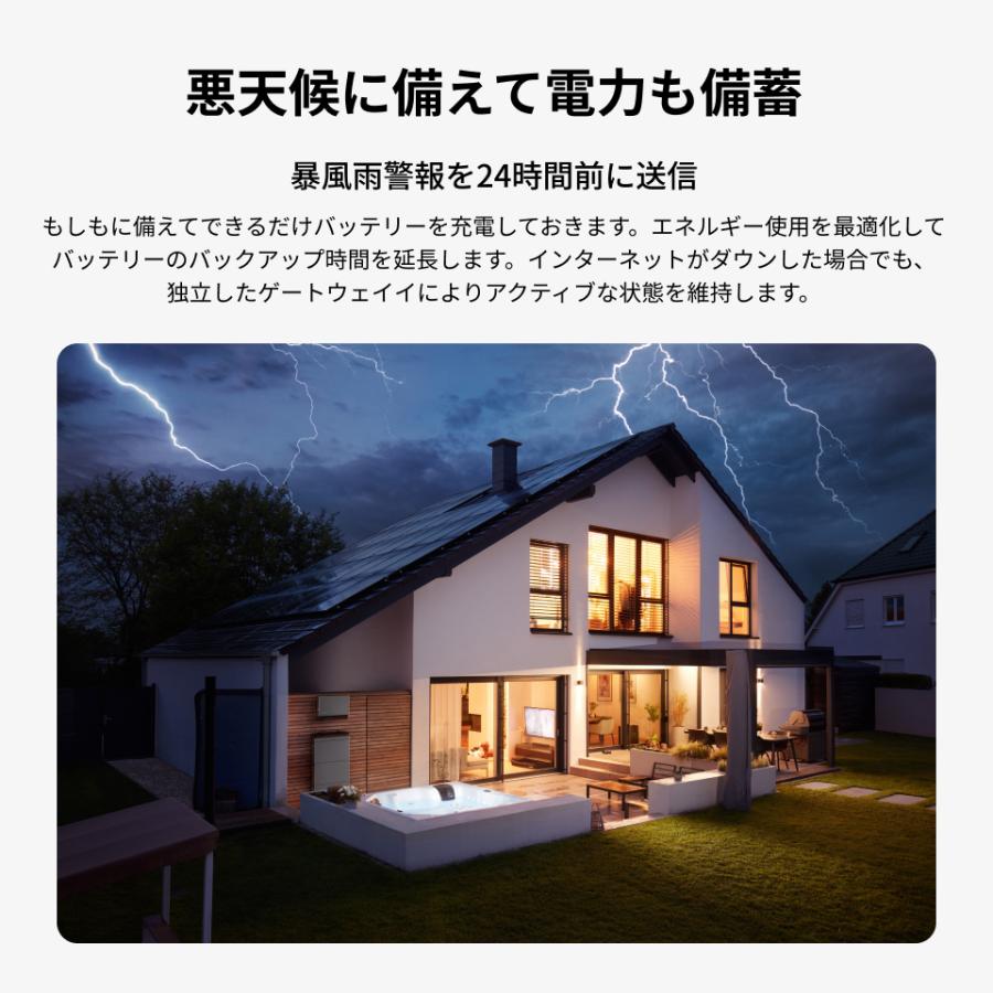ECOFLOW EcoFlow PowerInsight エネルギー監視制御モニター 液晶