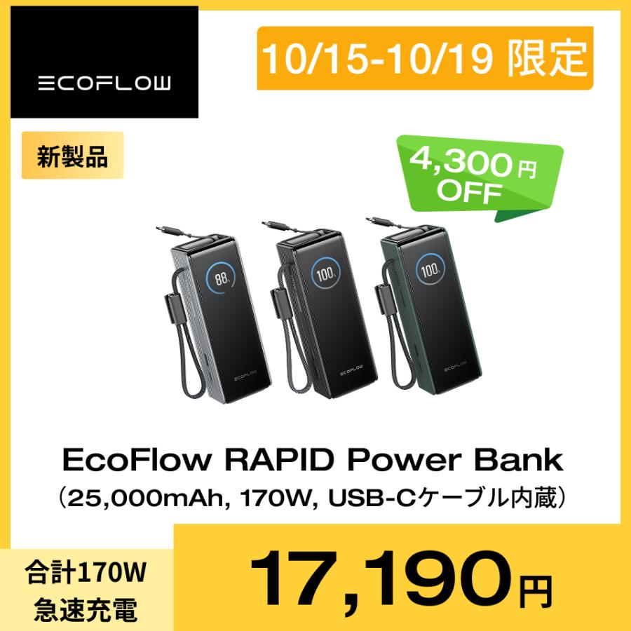 発電機・ポータブル電源 EcoFlow RAPID Power Bank 25,000mAh 170W EcoFlow RAPID Power Bank (25,000mAh, 170W, 100W Built-In and