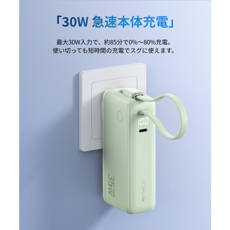 【新品未開封】EcoFlow RAPID 3-in-1 Power Bank EcoFlow RAPID Pro 3-in-1 Power Bank (10,000mAh, 67W)