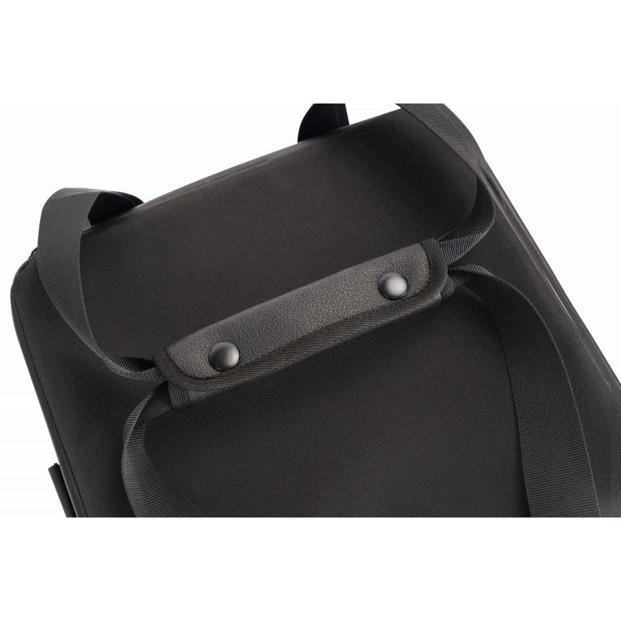 ECOFLOW EcoFlow 公式 RIVER 2 シリーズ専用バッグ ポータブル ECOFLOW EcoFlow 公式 RIVER 2 シリーズ専用バッグ ポータブル
