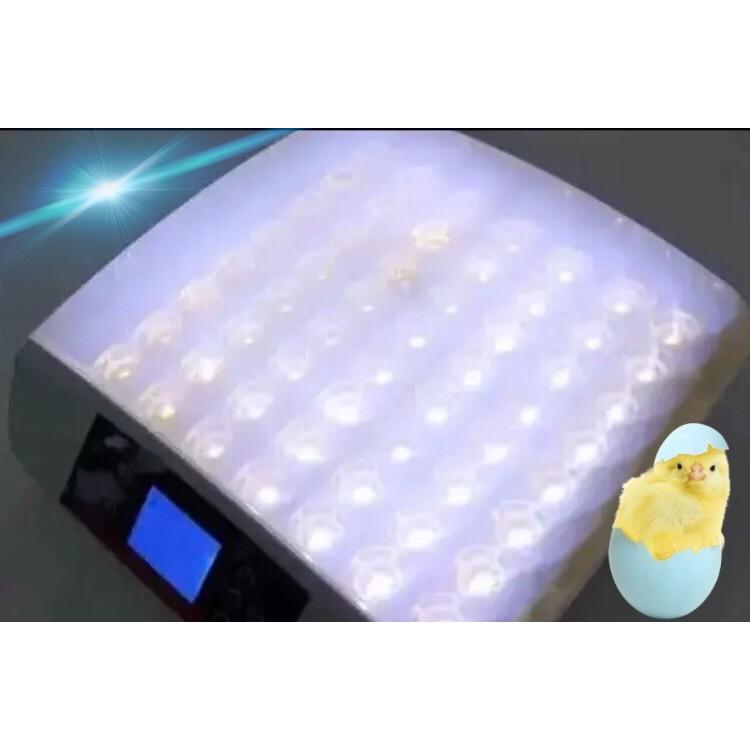 鳥類　孵化　全自動孵卵器　孵卵機　ふ卵器　孵化器　インキュベーター　最大56個　新品