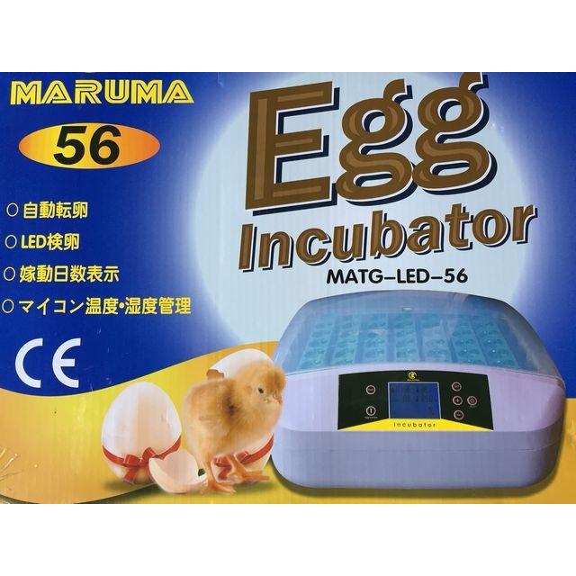 最大56個 全自動孵卵器 孵卵機 孵化器 ふ卵器 孵化器