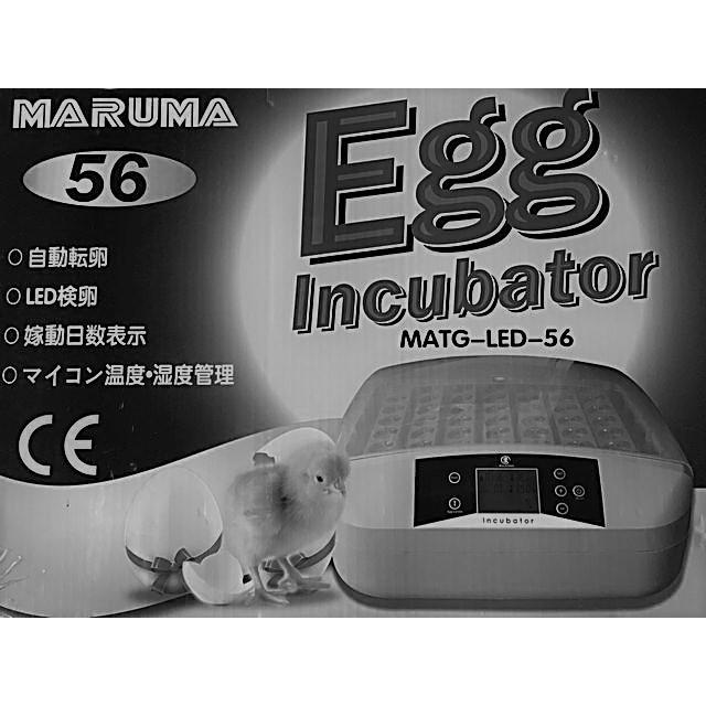 最大56個　全自動孵卵器　孵卵機　ふ卵器　孵化器　インキュベーター y |  | 10
