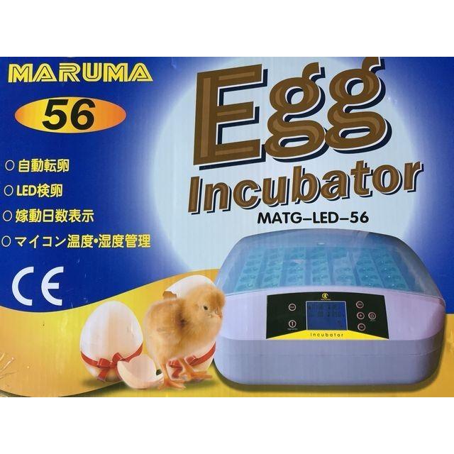 最大56個　全自動孵卵器　孵卵機　ふ卵器　孵化器　インキュベーター y