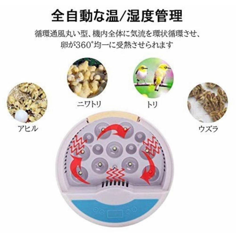インキュベーター 検卵ライト内蔵鳥類専用ふ卵器 孵化器 9個入卵OK ヒヨコ生まれ 子供教育用 家庭用 詳しい日本語説明書付き新品 |  | 03