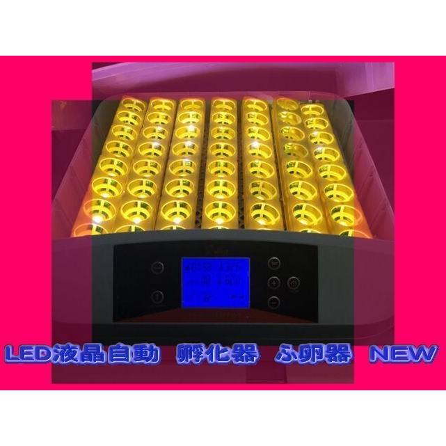 最大56個　全自動孵卵器　孵卵機　ふ卵器　孵化器　インキュベーター LED確認ライト付き |  | 01