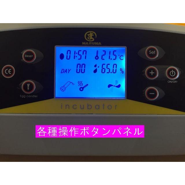 最大56個　全自動孵卵器　孵卵機　ふ卵器　孵化器　インキュベーター LED確認ライト付き |  | 07