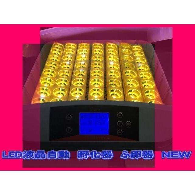 最大56個　全自動孵卵器　孵卵機　ふ卵器　孵化器　インキュベーター |  | 01