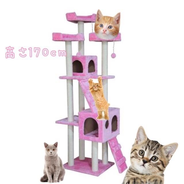 キャットタワー 猫タワー ワイド170cm カラー3色 オフホワイト パッションピンク ベージュ 置き型 爪とぎ ネコタワー 新品y Y24 Ecofuture 通販 Yahoo ショッピング