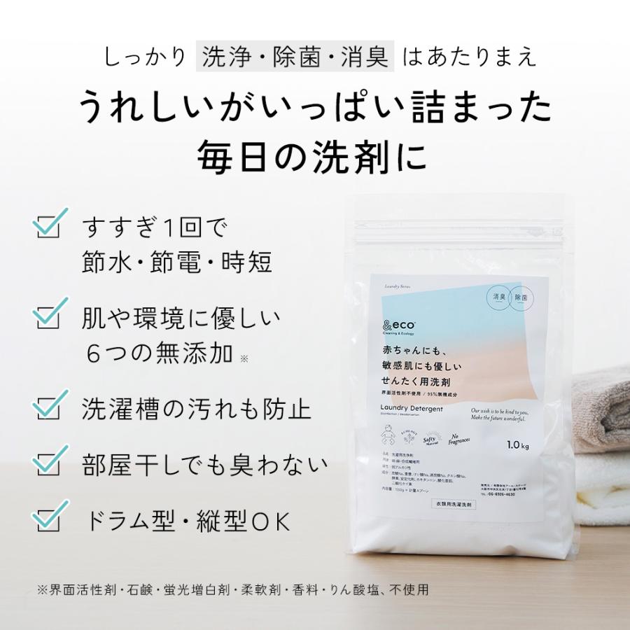 &eco 肌にやさしい洗たく洗剤 2個セット 洗濯 洗剤 粉 肌に優しい 無