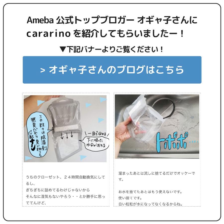 除湿剤 クローゼット 吊り下げ 部屋用 10個セット Cararino 湿気取り 防カビ 乾燥除湿パック 宅配便送料無料 Cararino 10 えこじじいの店 通販 Yahoo ショッピング
