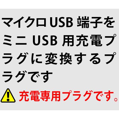 microUSB-miniUSB チェーンホール付きminiUSB端子 |  | 02